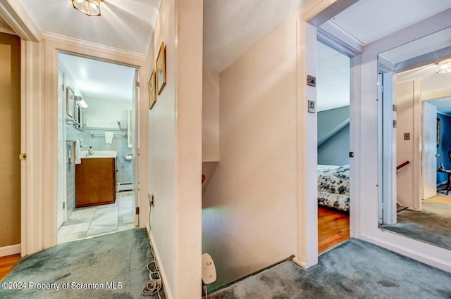 811 Clifton Beach Rd, Clifton Twp, PA 18424 - photo 31