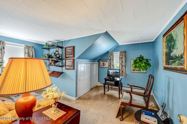 811 Clifton Beach Rd, Clifton Twp, PA 18424 - photo 34