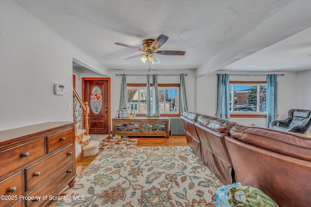 living room featuring ceiling fan, radiator heating unit, light hardwood / wood-style floors, and a textured ceiling