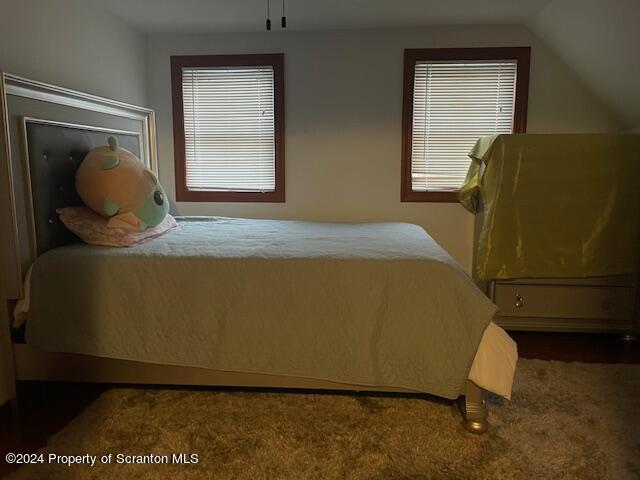 bedroom featuring lofted ceiling and multiple windows