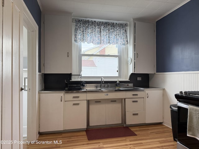 kitchen featuring ornamental molding, a wainscoted wall, light wood finished floors, and a sink