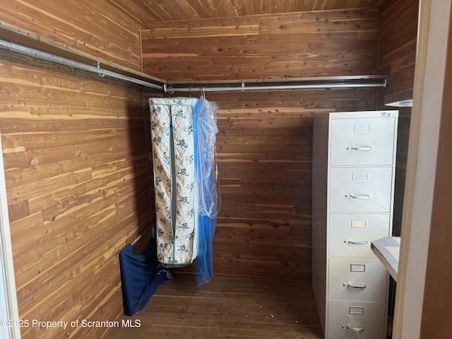 146 S Hyde Ave, Scranton, PA 18504 - walk in closet featuring wood-type flooring