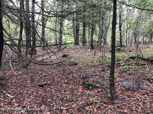 LOT5 Riverfront Way, Gouldsboro, PA 18424