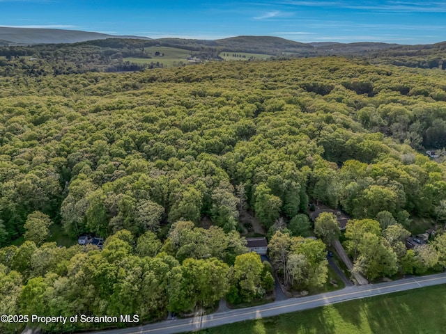 253 Billings Mill Rd, Tunkhannock, PA 18657 - photo 7