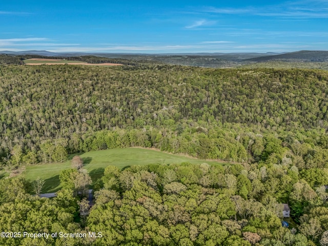 253 Billings Mill Rd, Tunkhannock, PA 18657 - photo 16