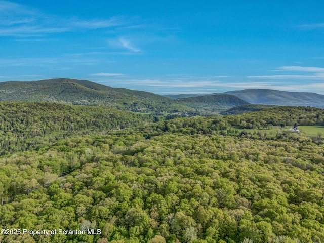 253 Billings Mill Rd, Tunkhannock, PA 18657 - photo 17