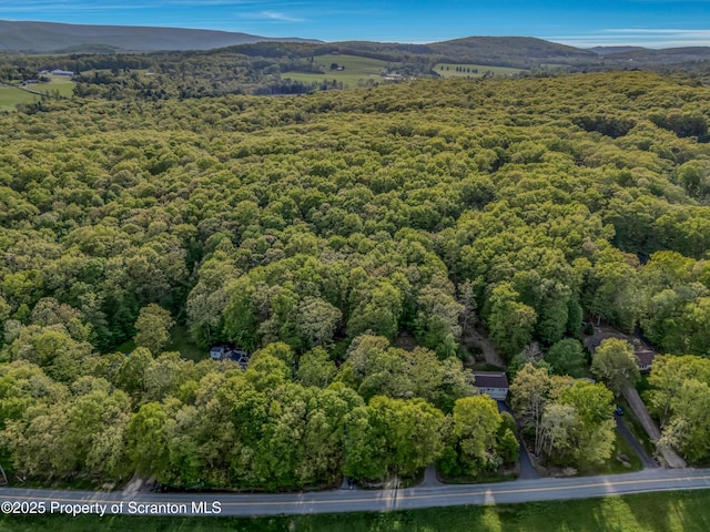 253 Billings Mill Rd, Tunkhannock, PA 18657 - photo 4