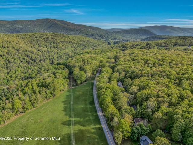 253 Billings Mill Rd, Tunkhannock, PA 18657 - photo 15