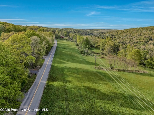 253 Billings Mill Rd, Tunkhannock, PA 18657 - photo 19