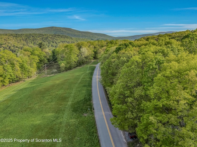 253 Billings Mill Rd, Tunkhannock, PA 18657 - photo 20