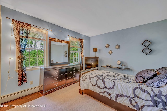 253 Billings Mill Rd, Tunkhannock, PA 18657 - photo 58