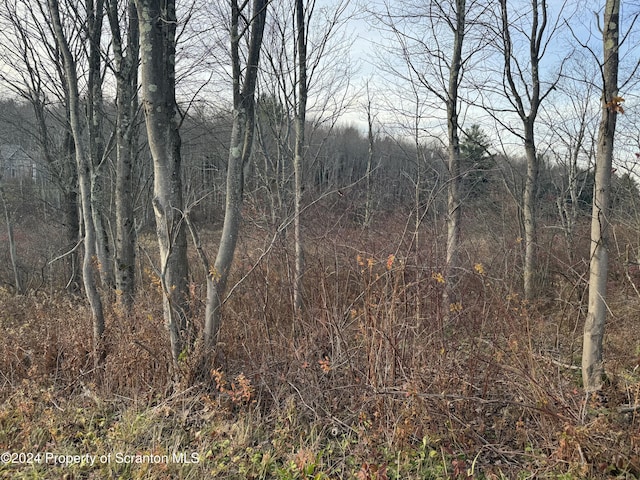 Shust, Greenfield Twp PA, 18407 land for sale