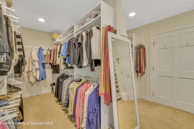 spacious closet with light carpet