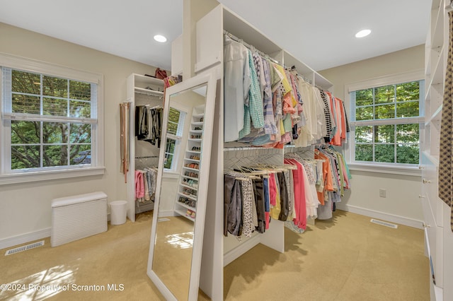 spacious closet with light carpet