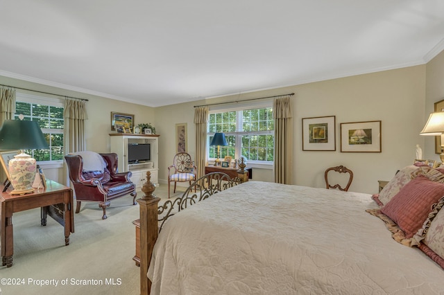 carpeted bedroom with crown molding