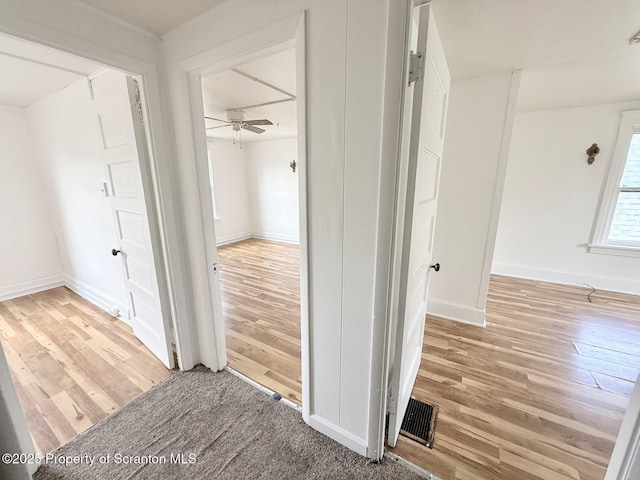 879 Park Ave, Williamsport, PA 17701 - photo 14