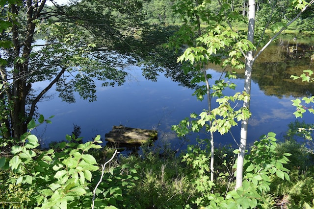 property view of water