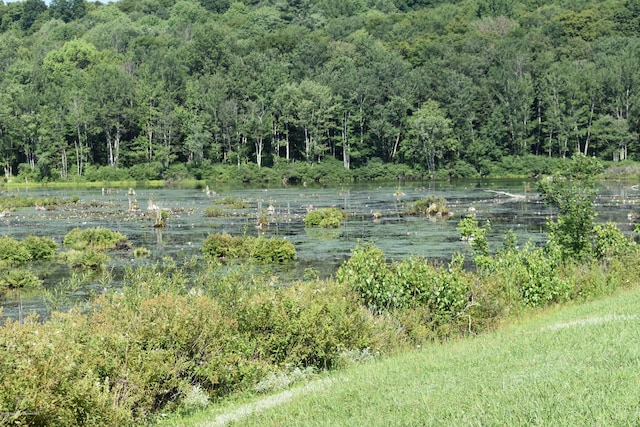 water view