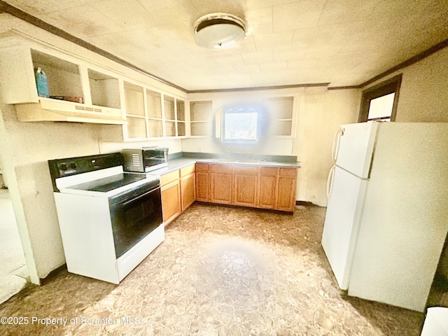 kitchen with under cabinet range hood, a sink, electric stove, ornamental molding, and freestanding refrigerator