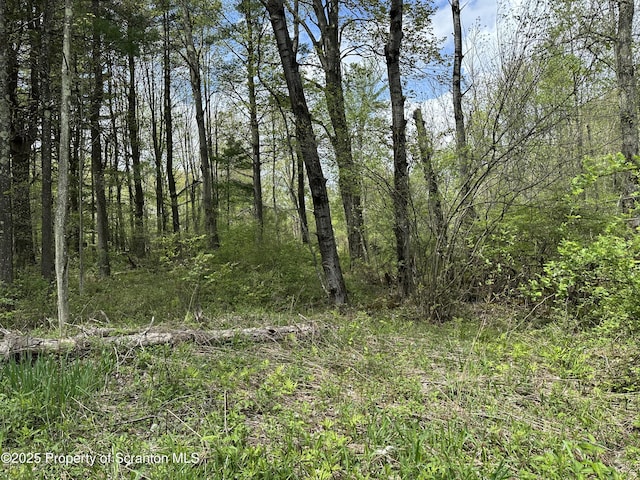 996 Rosengrant Rd, Lake Ariel, PA 18436