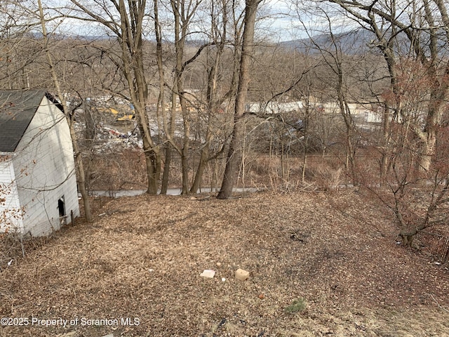 view of yard with a barn