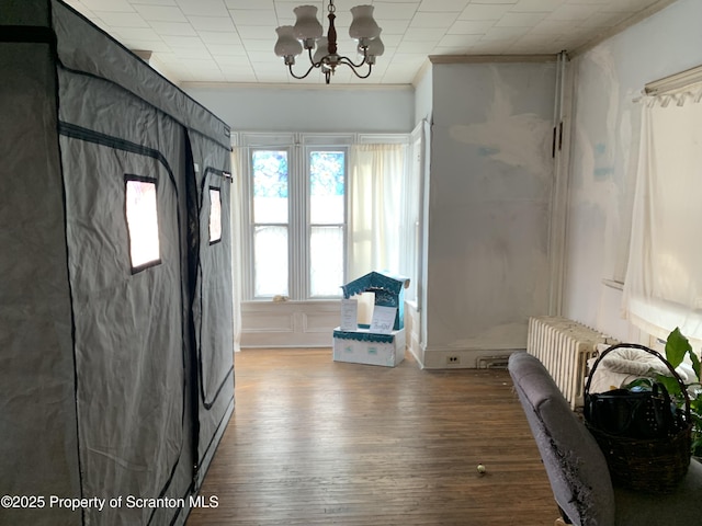 entryway featuring an inviting chandelier, radiator heating unit, and wood finished floors