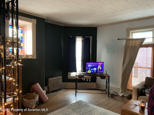 interior space with crown molding, radiator, wood finished floors, and baseboards