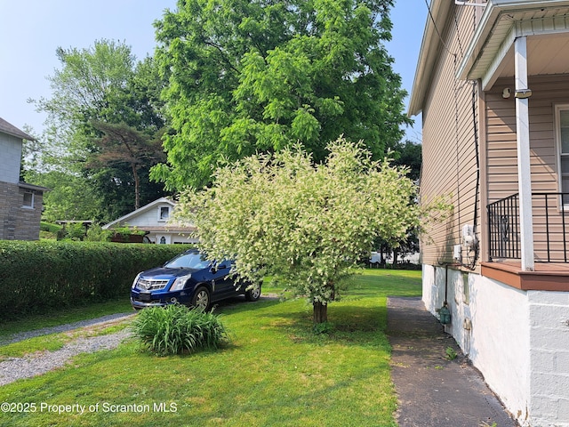 2127 Price St, Scranton, PA 18504 - view of green lawn