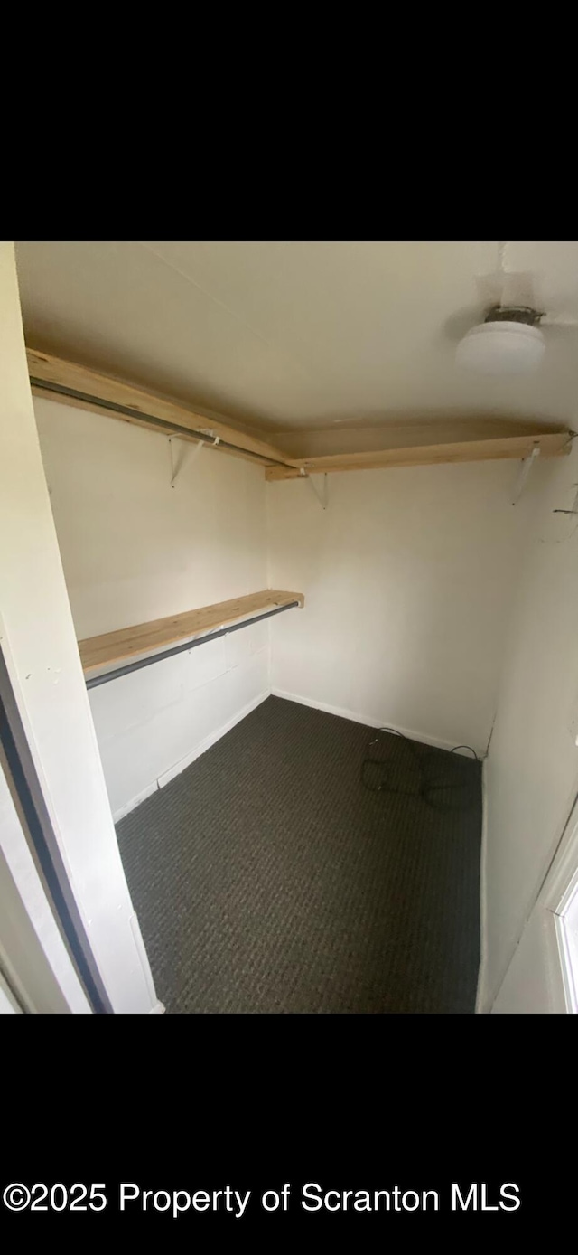 spacious closet featuring carpet