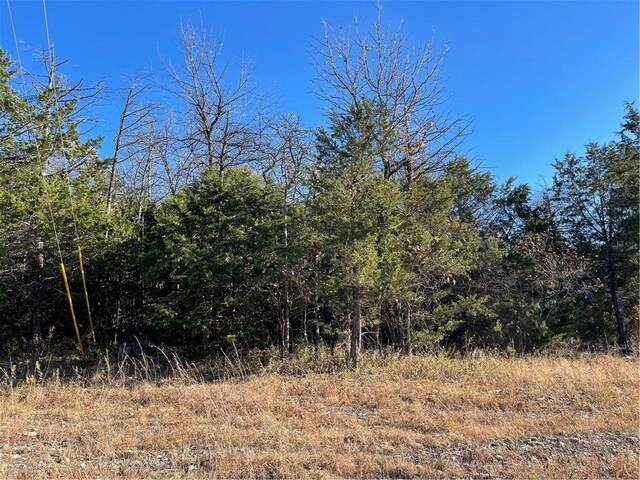 38-40 Danube Dr, Holiday Island AR, 72631 land for sale