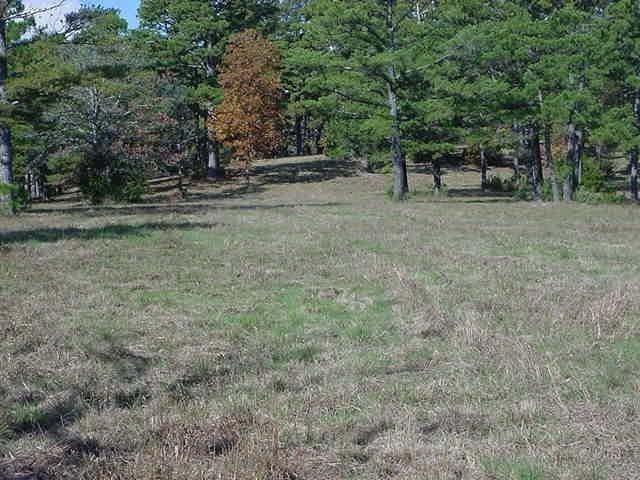 E Van Buren Ave, Eureka Springs, AR 72632 - photo 5