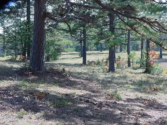 E Van Buren Ave, Eureka Springs, AR 72632 - photo 6