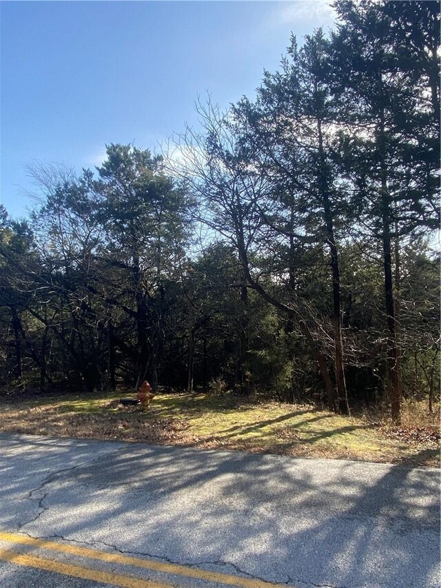 Table Rock Dr Unit 5, Holiday Island AR, 72631 land for sale