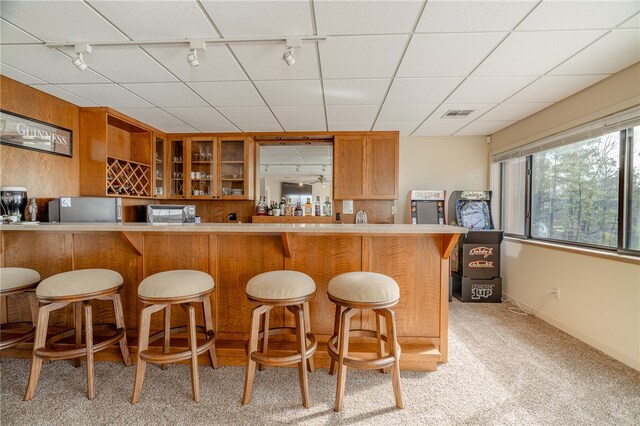 18515 Dream Catcher, Garfield, AR 72732 - bar featuring light colored carpet, track lighting, and a paneled ceiling