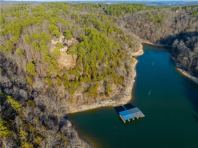 18515 Dream Catcher, Garfield, AR 72732 - aerial view with a water view
