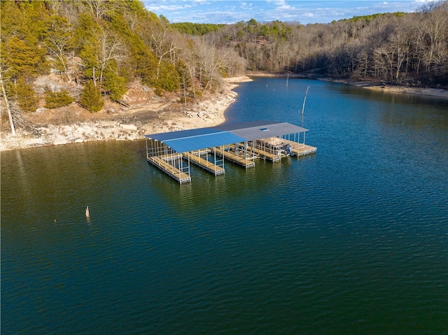 18515 Dream Catcher, Garfield, AR 72732 - aerial view with a water view