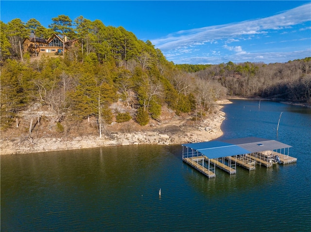 18515 Dream Catcher, Garfield, AR 72732 - dock area with a water view