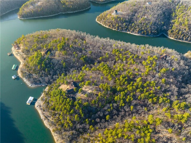 18515 Dream Catcher, Garfield, AR 72732 - aerial view with a water view