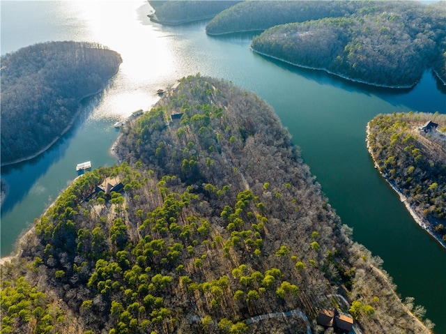 18515 Dream Catcher, Garfield, AR 72732 - bird's eye view with a water view