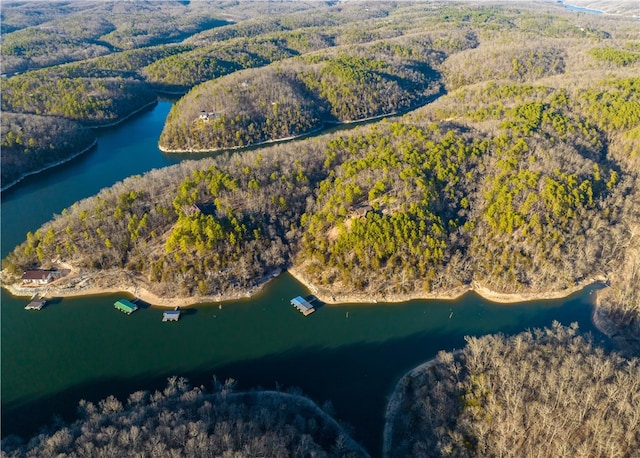 18515 Dream Catcher, Garfield, AR 72732 - birds eye view of property featuring a water view