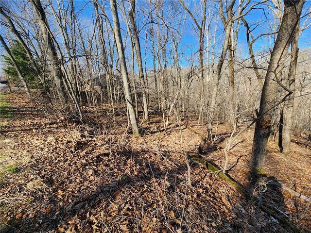 LOT22 Chelmsworth Dr, Bella Vista, AR 72715 - photo 4