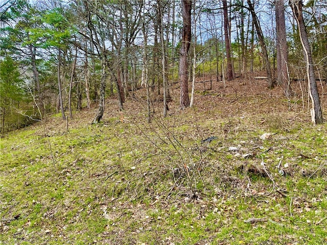 TractC Washington, Eureka Springs AR, 72632 land for sale