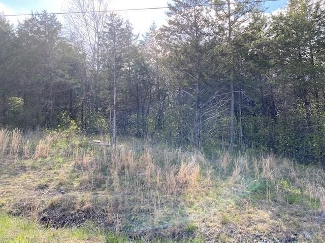 119 Thunderbird Dr Unit 7, Holiday Island AR, 72631 land for sale