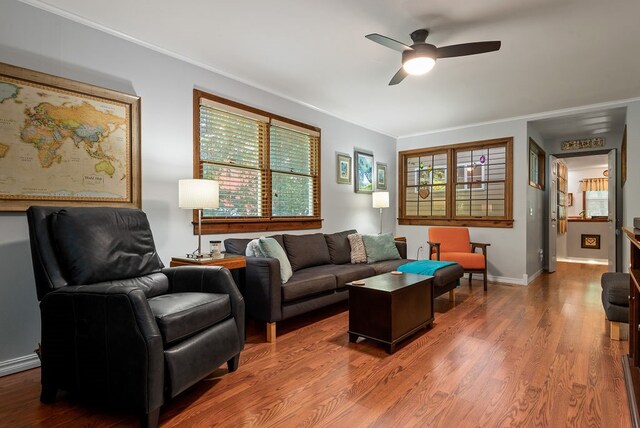 living room with wood-type flooring, ceiling fan, and ornamental molding