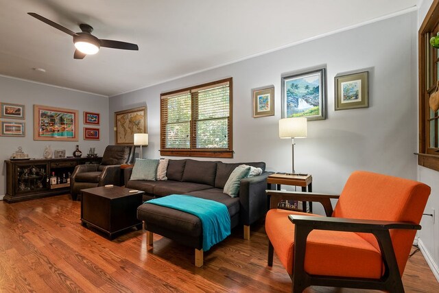 living room featuring ceiling fan, ornamental molding, and wood-type flooring