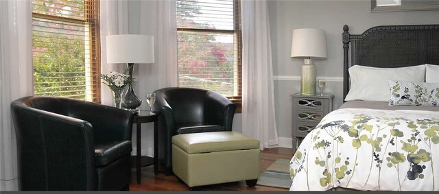 bedroom featuring multiple windows and dark wood-type flooring