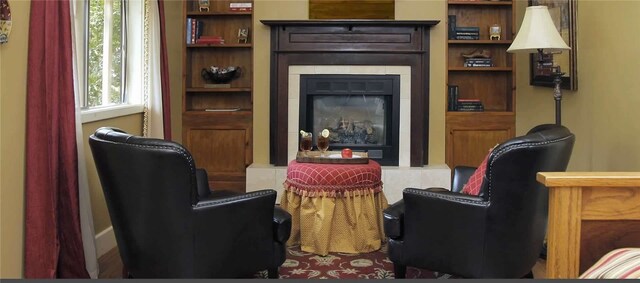 living area featuring built in shelves