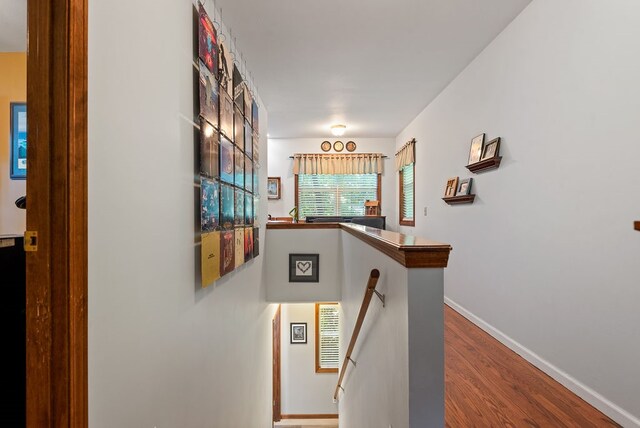 stairway with hardwood / wood-style flooring