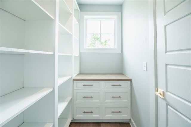 spacious closet with dark wood-type flooring