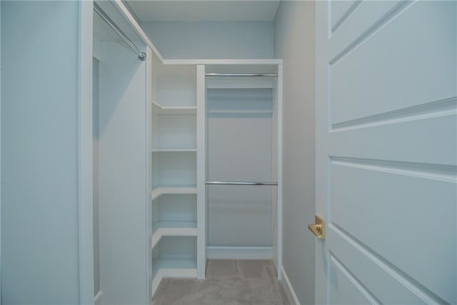 spacious closet featuring light carpet